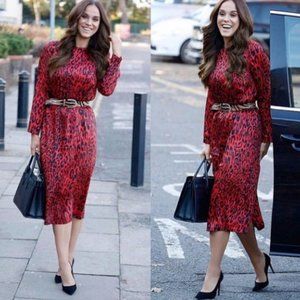 Zara l Leopard Print Dress